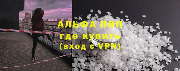 ПСИЛОЦИБИНОВЫЕ ГРИБЫ Заволжье
