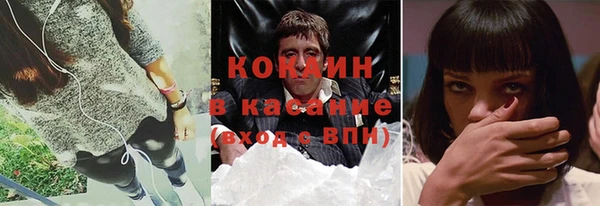 гашик Зерноград