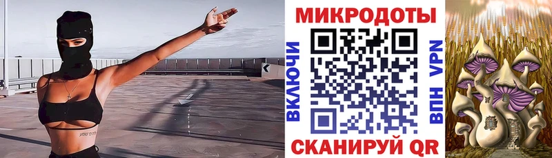 Псилоцибиновые грибы Cubensis  Купить где  Людиново 